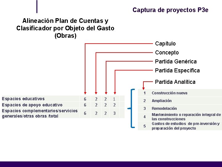 Captura de proyectos P 3 e Alineación Plan de Cuentas y Clasificador por Objeto
