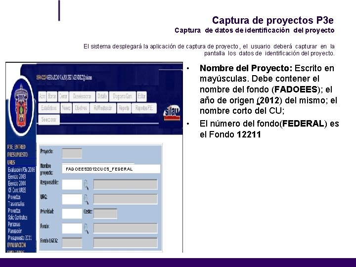 Captura de proyectos P 3 e Captura de datos de identificación del proyecto El