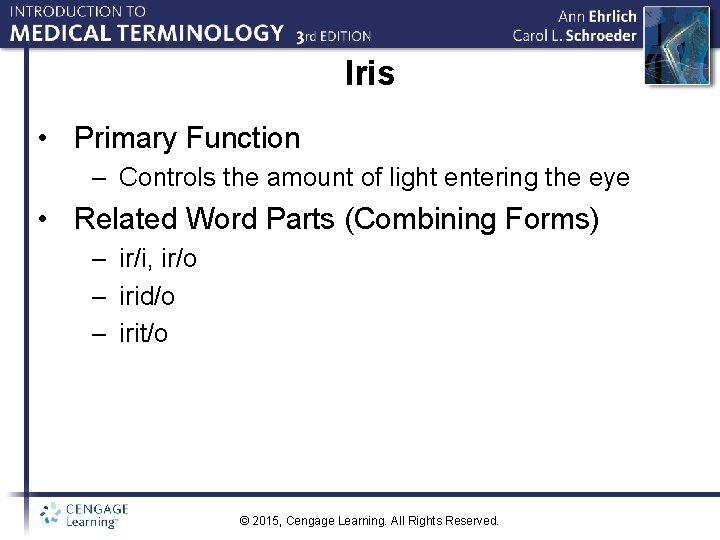 Iris • Primary Function – Controls the amount of light entering the eye •
