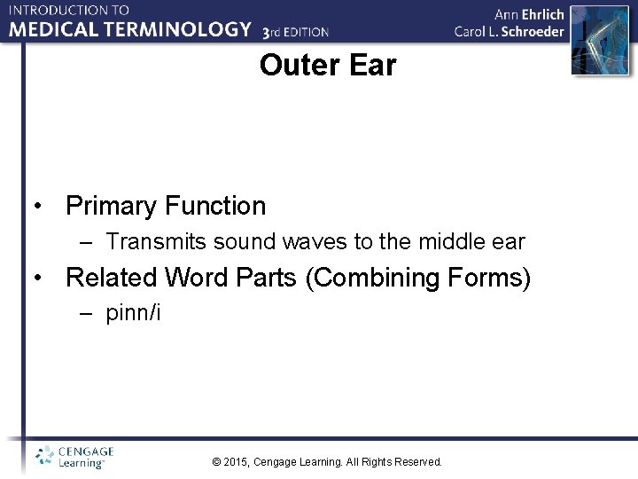 Outer Ear • Primary Function – Transmits sound waves to the middle ear •