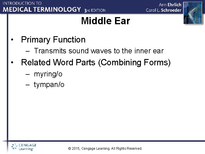 Middle Ear • Primary Function – Transmits sound waves to the inner ear •