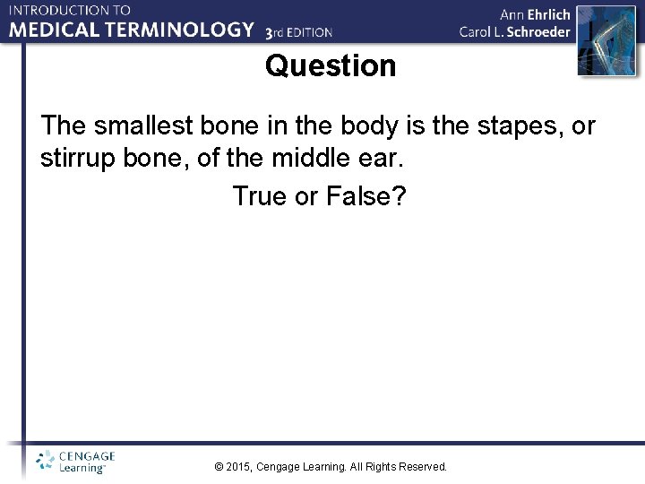 Question The smallest bone in the body is the stapes, or stirrup bone, of