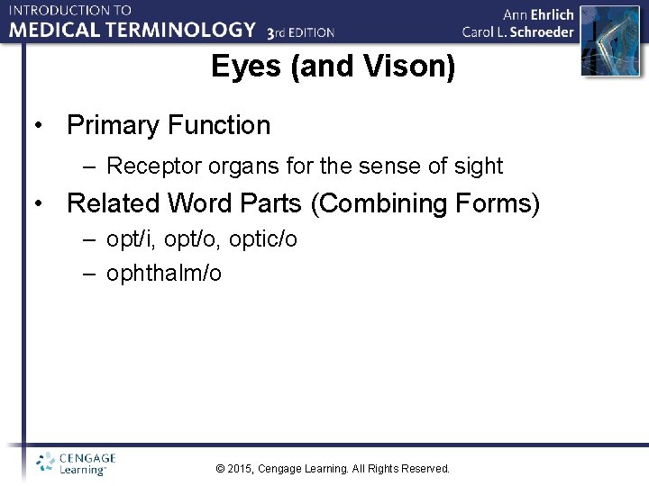 Eyes (and Vison) • Primary Function – Receptor organs for the sense of sight