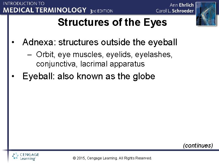 Structures of the Eyes • Adnexa: structures outside the eyeball – Orbit, eye muscles,