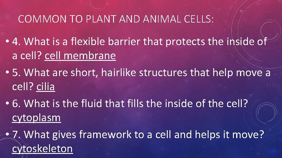 COMMON TO PLANT AND ANIMAL CELLS: • 4. What is a flexible barrier that COMMON TO PLANT AND ANIMAL CELLS: • 4. What is a flexible barrier that