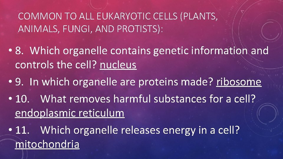 COMMON TO ALL EUKARYOTIC CELLS (PLANTS, ANIMALS, FUNGI, AND PROTISTS): • 8. Which organelle COMMON TO ALL EUKARYOTIC CELLS (PLANTS, ANIMALS, FUNGI, AND PROTISTS): • 8. Which organelle