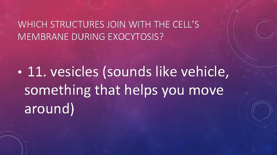 WHICH STRUCTURES JOIN WITH THE CELL’S MEMBRANE DURING EXOCYTOSIS? • 11. vesicles (sounds like WHICH STRUCTURES JOIN WITH THE CELL’S MEMBRANE DURING EXOCYTOSIS? • 11. vesicles (sounds like