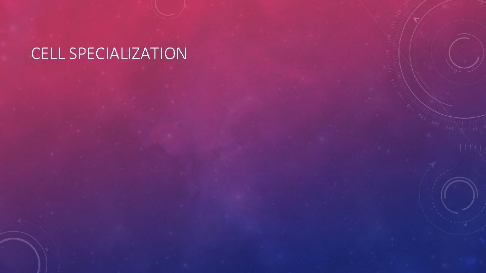 CELL SPECIALIZATION CELL SPECIALIZATION