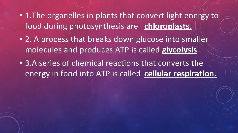 • 1. The organelles in plants that convert light energy to food during • 1. The organelles in plants that convert light energy to food during