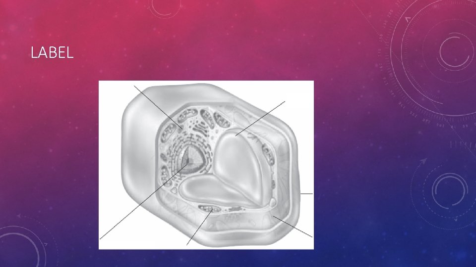LABEL LABEL