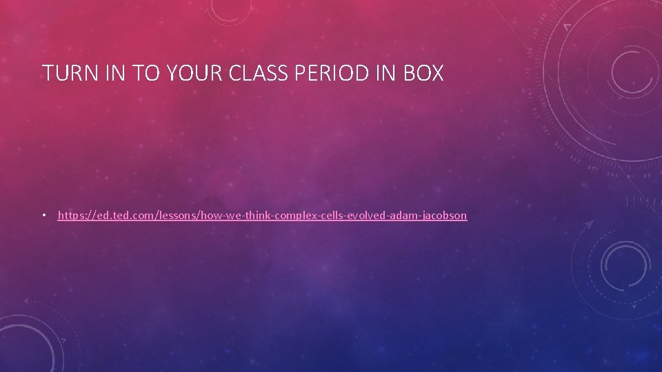 TURN IN TO YOUR CLASS PERIOD IN BOX • https: //ed. ted. com/lessons/how-we-think-complex-cells-evolved-adam-jacobson TURN IN TO YOUR CLASS PERIOD IN BOX • https: //ed. ted. com/lessons/how-we-think-complex-cells-evolved-adam-jacobson