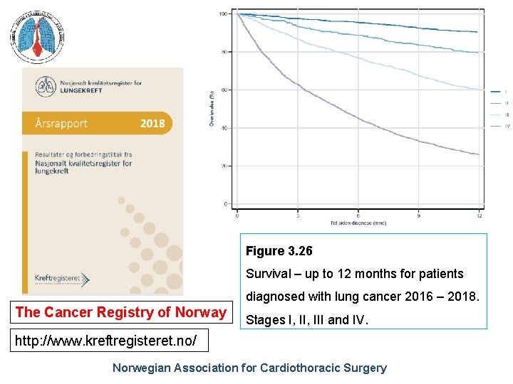 Figure 3. 26 Survival – up to 12 months for patients diagnosed with lung