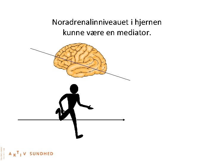 Noradrenalinniveauet i hjernen kunne være en mediator. 