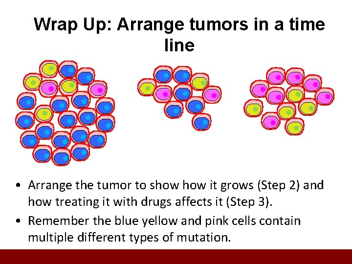 Wrap Up: Arrange tumors in a time line • Arrange the tumor to show