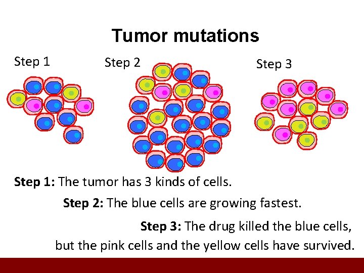 Tumor mutations Step 1 Step 2 Step 3 Step 1: The tumor has 3