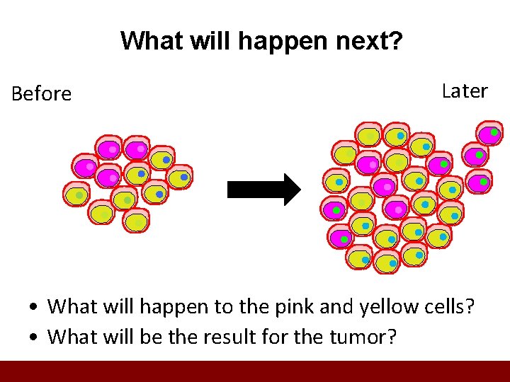 What will happen next? Before Later • What will happen to the pink and