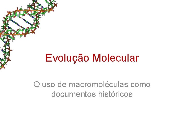 Evolução Molecular O uso de macromoléculas como documentos históricos Evolução Molecular O uso de macromoléculas como documentos históricos
