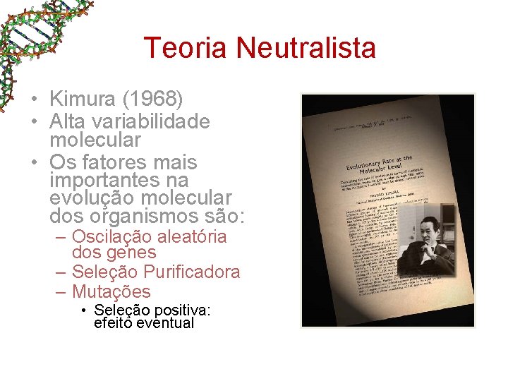 Teoria Neutralista • Kimura (1968) • Alta variabilidade molecular • Os fatores mais importantes Teoria Neutralista • Kimura (1968) • Alta variabilidade molecular • Os fatores mais importantes