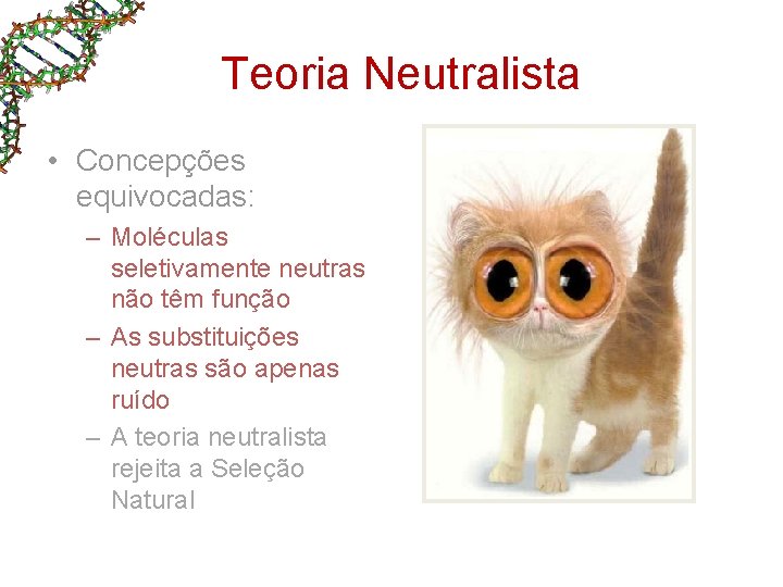 Teoria Neutralista • Concepções equivocadas: – Moléculas seletivamente neutras não têm função – As Teoria Neutralista • Concepções equivocadas: – Moléculas seletivamente neutras não têm função – As