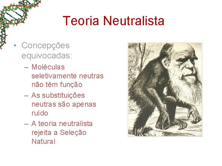 Teoria Neutralista • Concepções equivocadas: – Moléculas seletivamente neutras não têm função – As Teoria Neutralista • Concepções equivocadas: – Moléculas seletivamente neutras não têm função – As