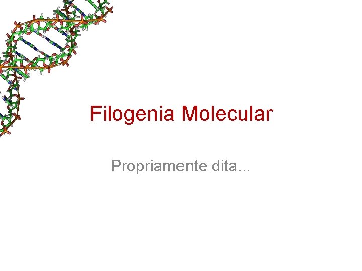Filogenia Molecular Propriamente dita. . . Filogenia Molecular Propriamente dita. . .