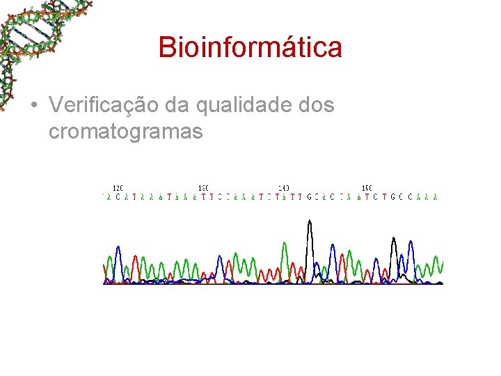 Bioinformática • Verificação da qualidade dos cromatogramas Bioinformática • Verificação da qualidade dos cromatogramas
