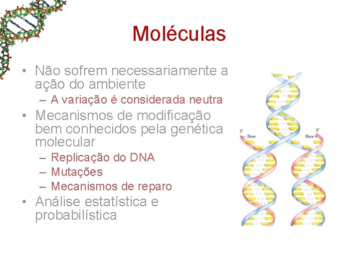 Moléculas • Não sofrem necessariamente a ação do ambiente – A variação é considerada Moléculas • Não sofrem necessariamente a ação do ambiente – A variação é considerada