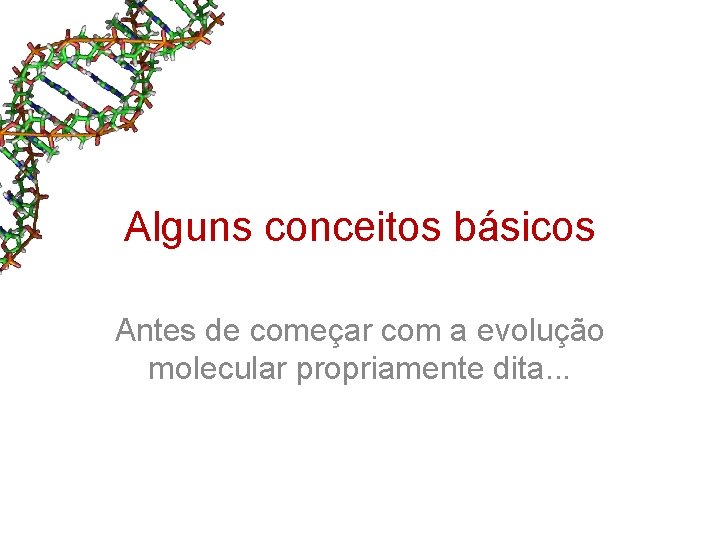 Alguns conceitos básicos Antes de começar com a evolução molecular propriamente dita. . . Alguns conceitos básicos Antes de começar com a evolução molecular propriamente dita. . .