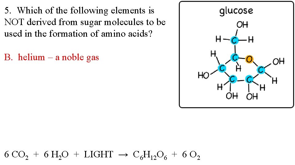 5. Which of the following elements is NOT derived from sugar molecules to be