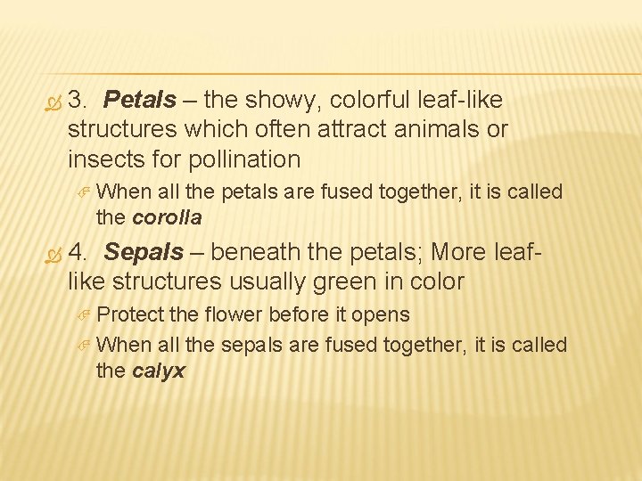  3. Petals – the showy, colorful leaf-like structures which often attract animals or