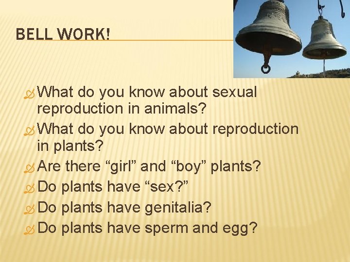 BELL WORK! What do you know about sexual reproduction in animals? What do you