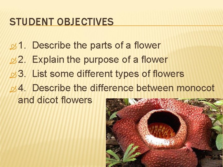 STUDENT OBJECTIVES 1. Describe the parts of a flower 2. Explain the purpose of