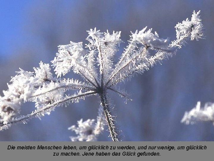 Die meisten Menschen leben, um glücklich zu werden, und nur wenige, um glücklich zu