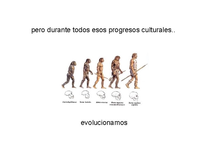 pero durante todos esos progresos culturales. . evolucionamos 