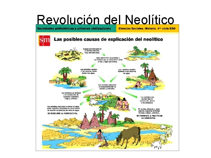 Revolución del Neolítico 