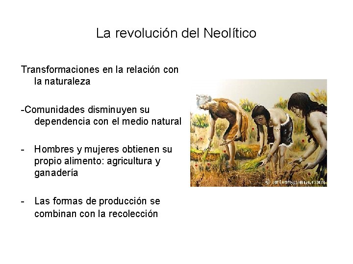 La revolución del Neolítico Transformaciones en la relación con la naturaleza -Comunidades disminuyen su