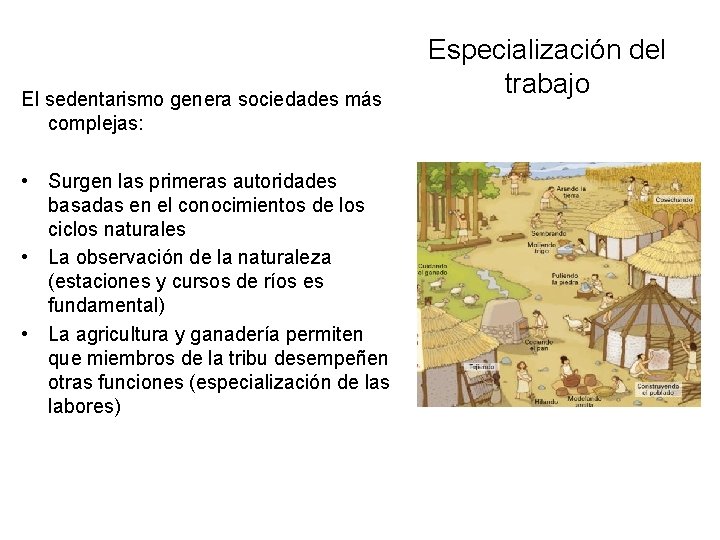 El sedentarismo genera sociedades más complejas: • Surgen las primeras autoridades basadas en el