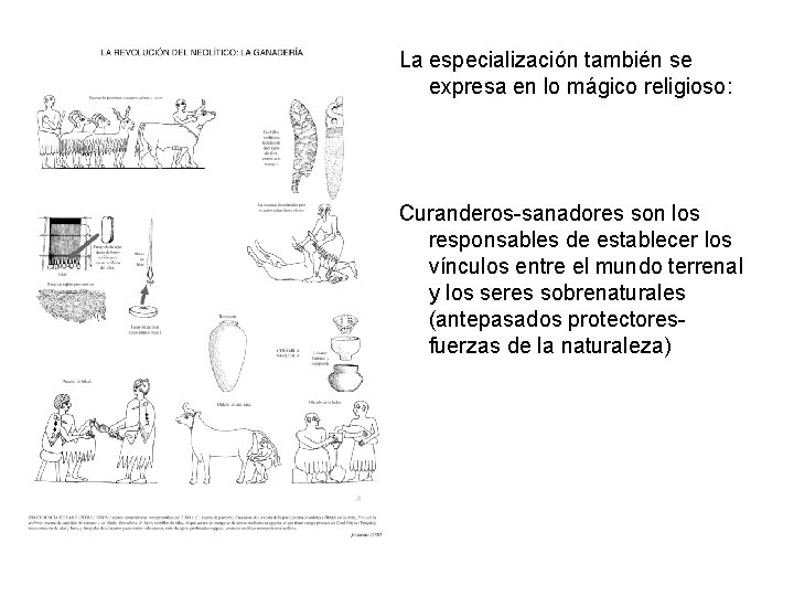 La especialización también se expresa en lo mágico religioso: Curanderos-sanadores son los responsables de