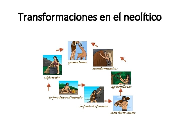 Transformaciones en el neolítico 