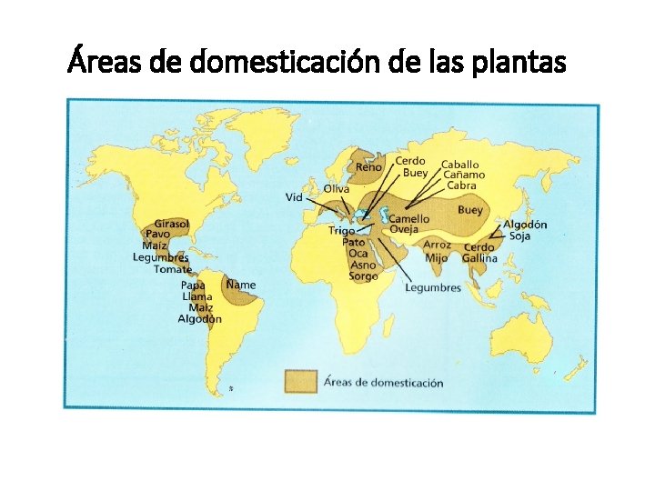 Áreas de domesticación de las plantas 