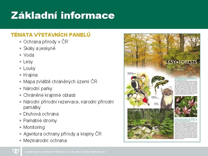 Základní informace TÉMATA VÝSTAVNÍCH PANELŮ § § § § Ochrana přírody v ČR Skály