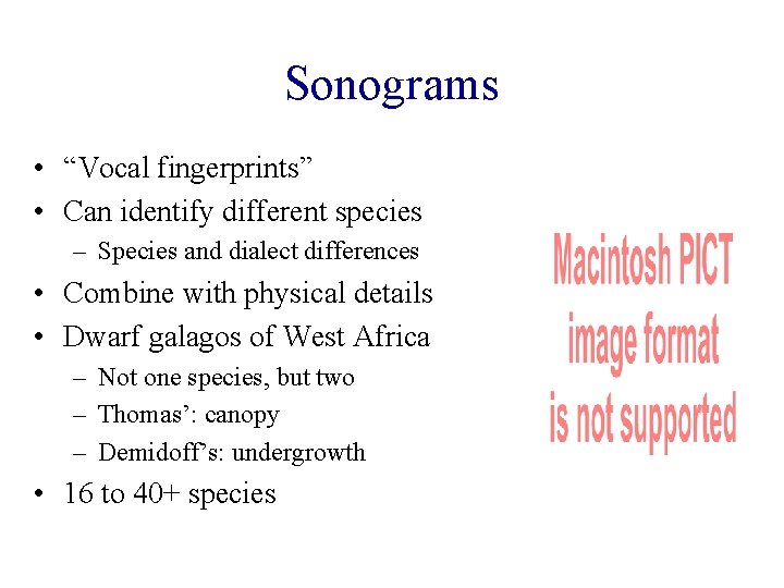 Sonograms • “Vocal fingerprints” • Can identify different species – Species and dialect differences