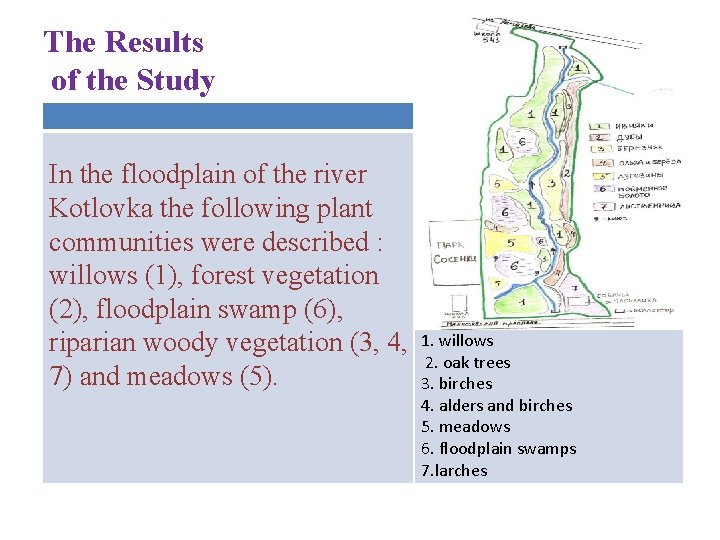 The Results of the Study In the floodplain of the river Kotlovka the following