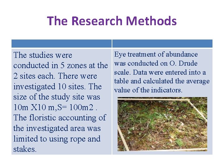 The Research Methods The studies were conducted in 5 zones at the 2 sites