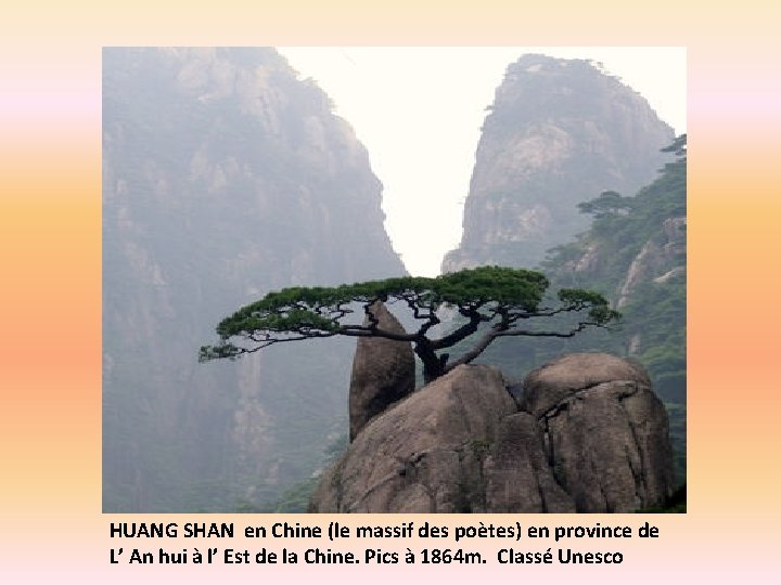 HUANG SHAN en Chine (le massif des poètes) en province de L’ An hui