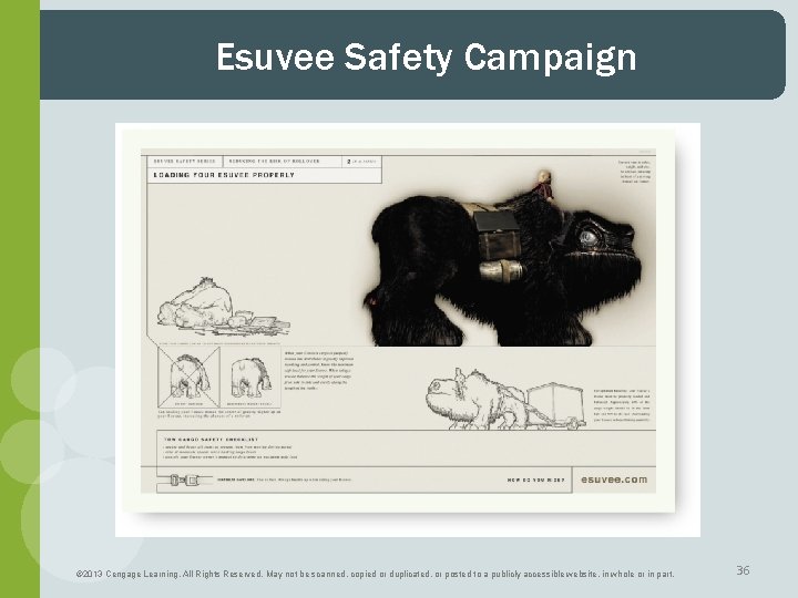 Esuvee Safety Campaign © 2013 Cengage Learning. All Rights Reserved. May not be scanned,