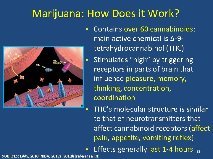 Marijuana: How Does it Work? • Contains over 60 cannabinoids: main active chemical is