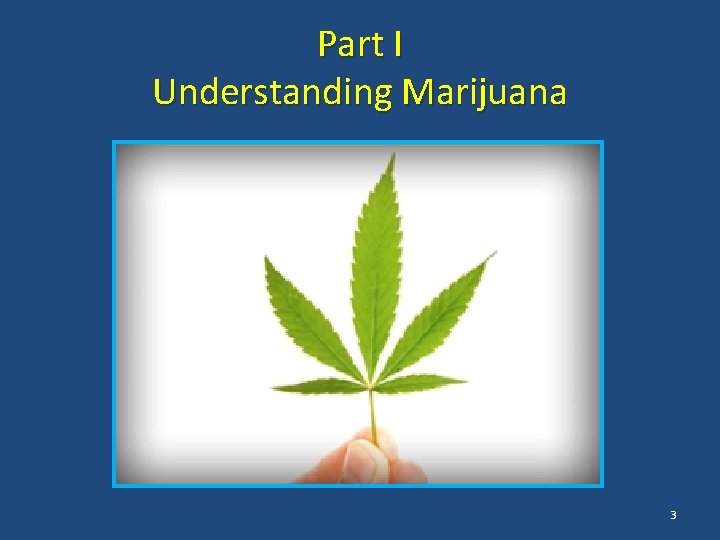 Part I Understanding Marijuana 3 