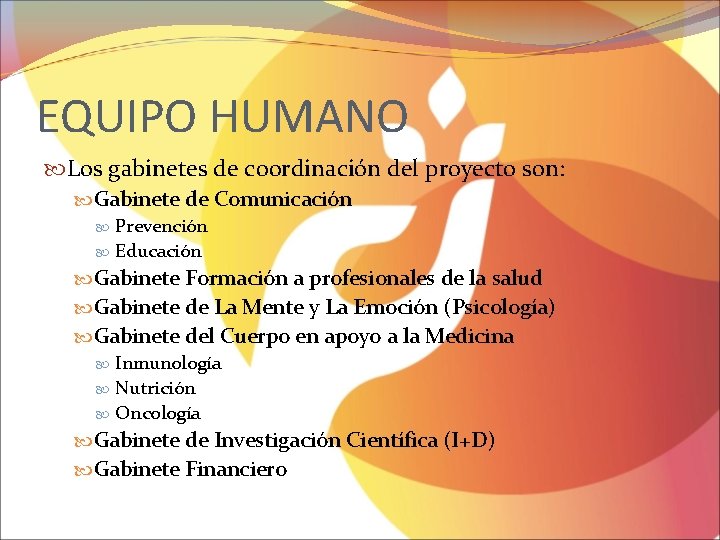 EQUIPO HUMANO Los gabinetes de coordinación del proyecto son: Gabinete de Comunicación Prevención Educación