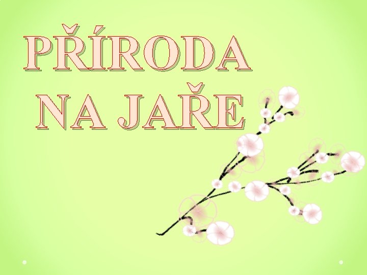 PŘÍRODA NA JAŘE 